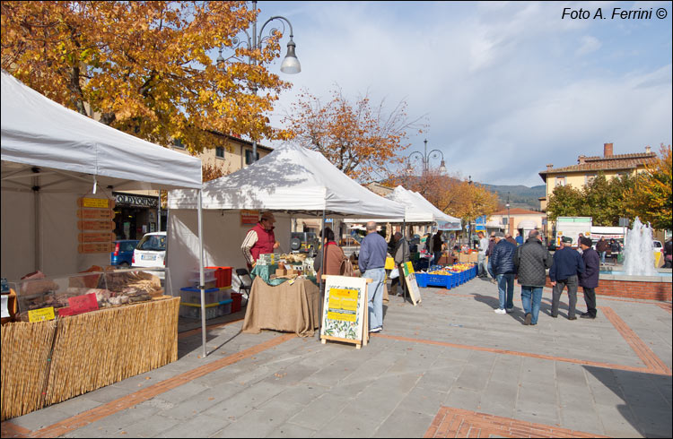 Mercatale Soci
