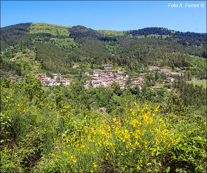 Moggiona, paesaggio primaverile