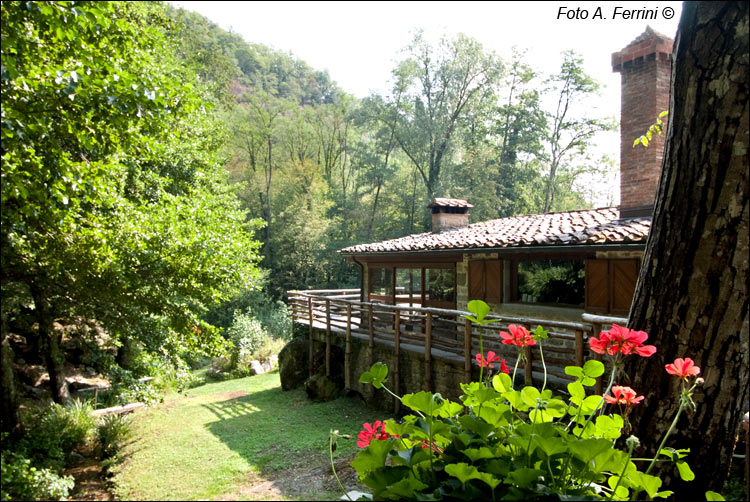 Agriturismo Molino Capraia