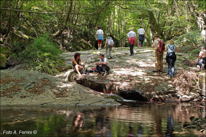 Torrente Capraia