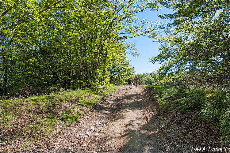 Verso Monte Lori