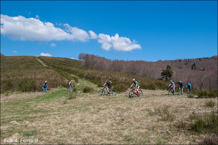 In mountain bike in Pratomagno