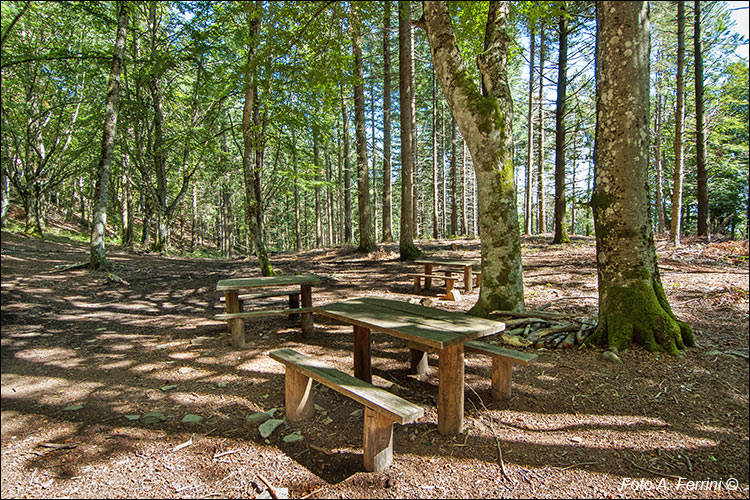 Area attrezzata alla Casetta del Teoni