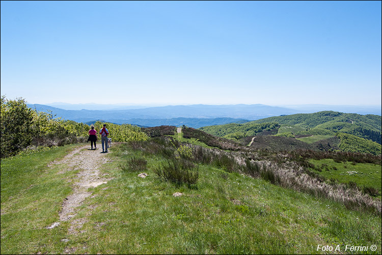 Panorama da Cima Bottigliana