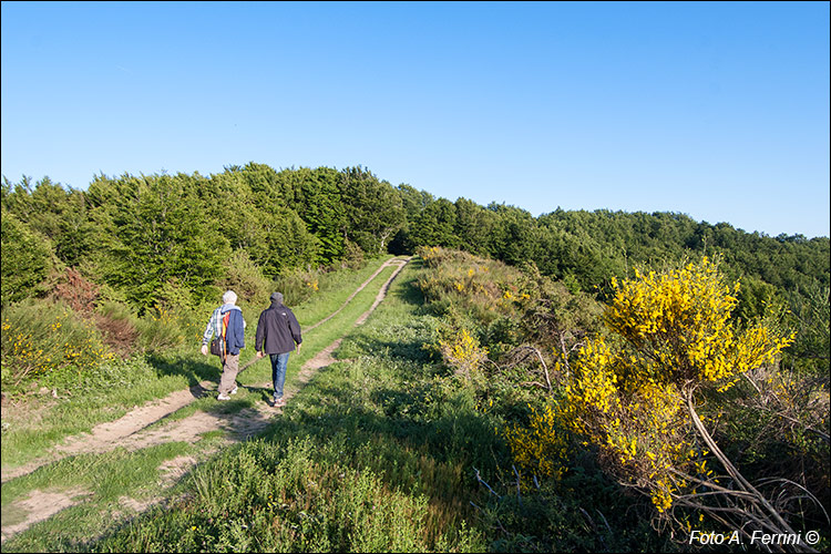 Il CAI 00 a Monte Lori