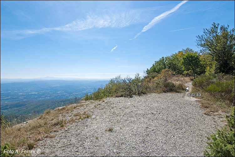 Panorama dal CAI 49