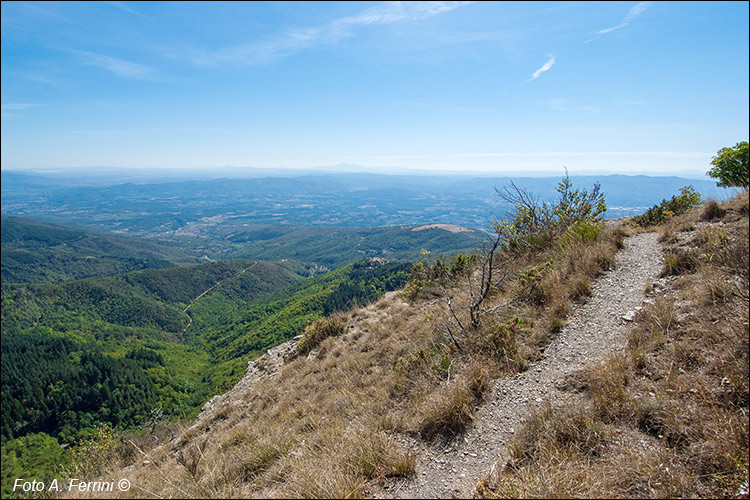 Panorama dal CAI 49