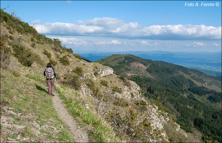 Il CAI 49B a Monte di Loro