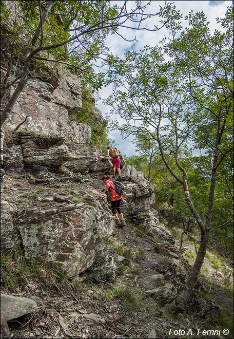 CAI 49A verso la ferrata