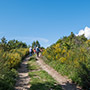 Cima di Monte Lori