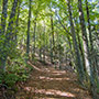 Sul CAI 36 verso Cima Bottigliana