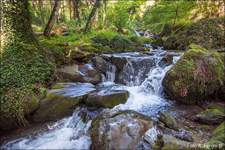 Torrente Doccia, Montemignaio