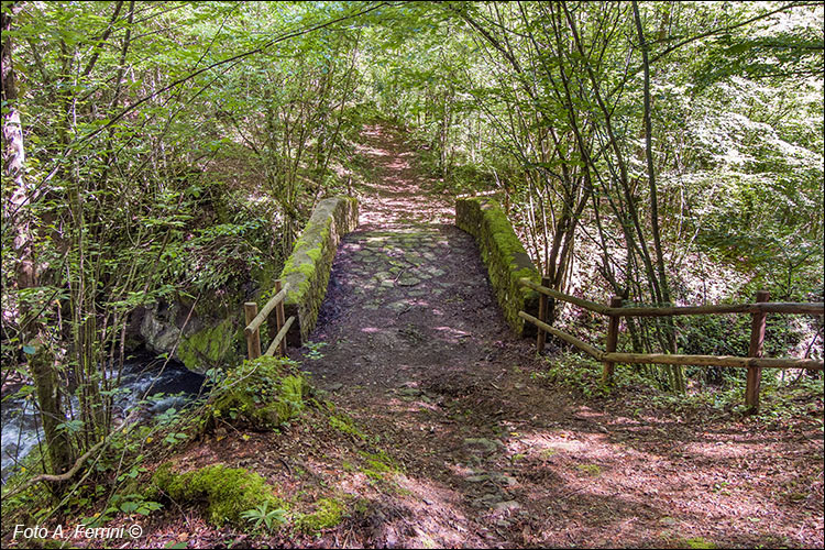 Ponte su Torrente Pistiano