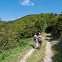 Foresta di Sant’Antonio