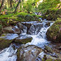 Torrente Doccia, Montemignaio