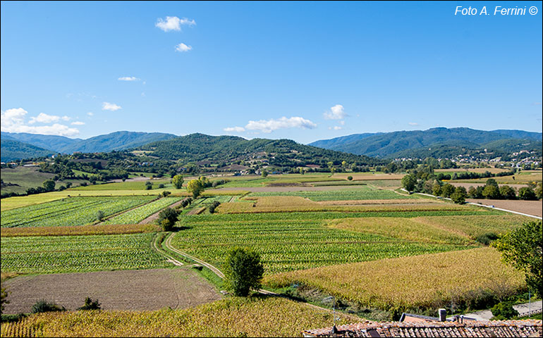 Monterchi