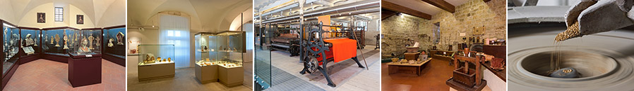 Museums of Casentino