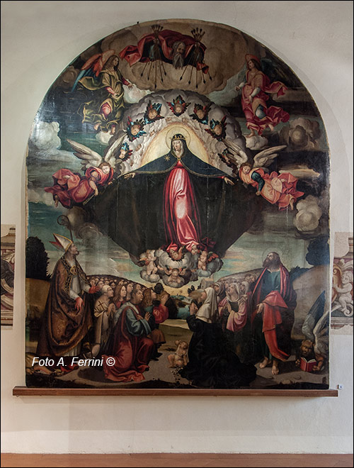 Museo d'Arte di Arezzo, Madonna della Misericordia