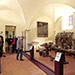 Museo della Verna