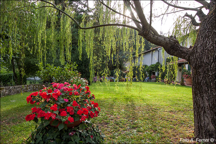 Giardino Nardi Berti