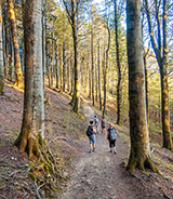 Trekking in Camaldoli