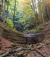 Campigna Forest Trekking