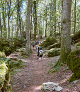 Trekking in La Verna