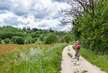 Pedestrian cycle path of the Arno