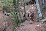 Parco Nazionale, itinerari nella foresta