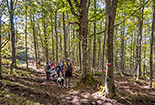 Trekking in the National Park