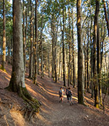 Parco Nazionale delle Foreste Casentinesi