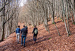 Trekking routes in the National Park