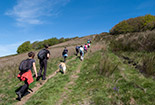 Trekking in Pratomagno