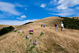 Trekking in Pratomagno