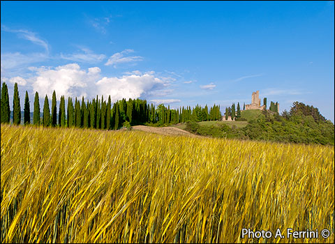 Romena Castle: Summer