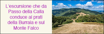 Dalla Calla a Monte Falco