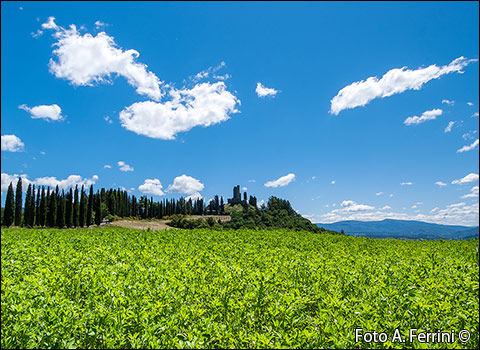 Castello di Romena: primavera