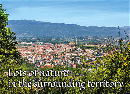 The Arezzo territory