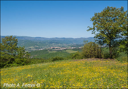 Territory of the Casentino from Bibbiena