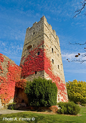 La torre di Porciano
