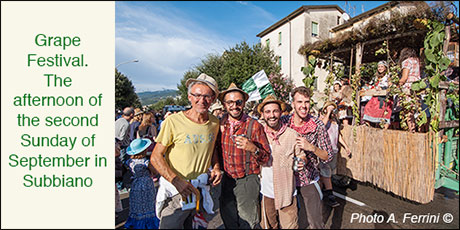 Grape Festival, Subbiano