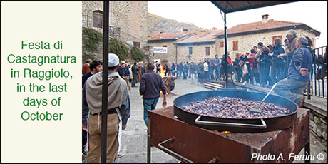 Festa di Castagnatura, Raggiolo