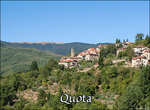 Quota Quota