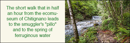 To Ferruginous Water To Ferruginous Water