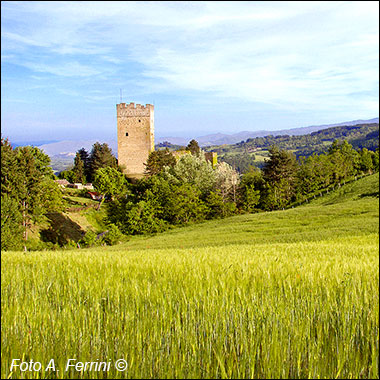 Castello di Porciano: estate