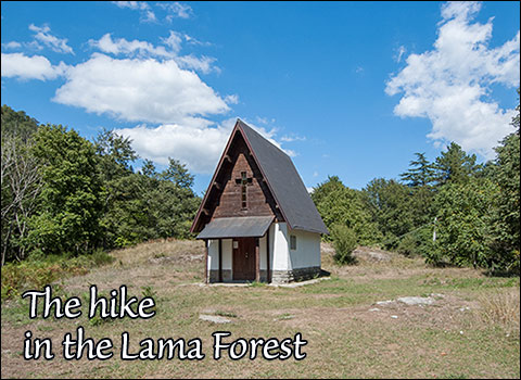 Excursion to the La Lama forest