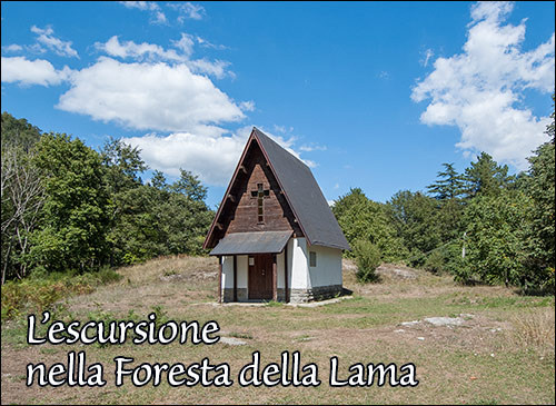 Escursione nella foresta della Lama