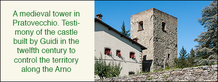 Pratovecchio Castle Il Pratovecchio Castle