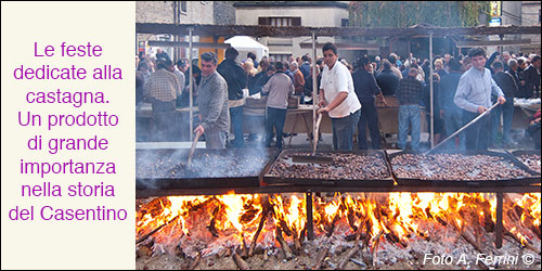 Feste della castagna in Casentino