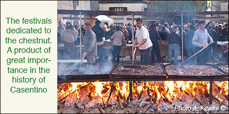 Chestnut festivals in Casentino